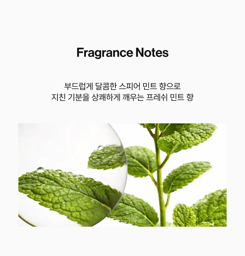 [포켓몬 에디션][비듬/각질케어]릴리이브 스칼프턴 시카 PDRN 딥클린 샴푸 500g 2종 택1 상세페이지 69